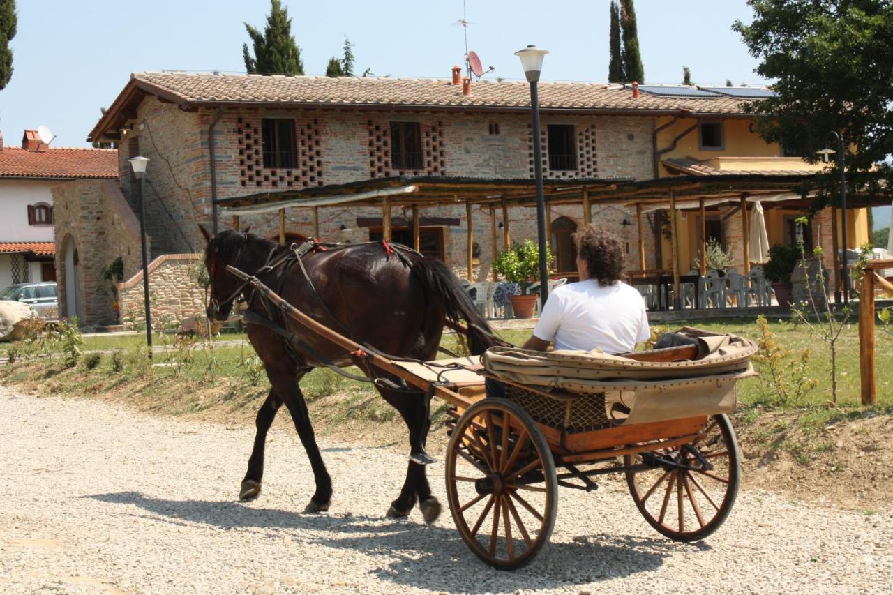Agriturismo La Colombaia Villa Викио Екстериор снимка