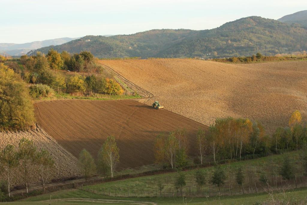 Agriturismo La Colombaia Villa Викио Екстериор снимка