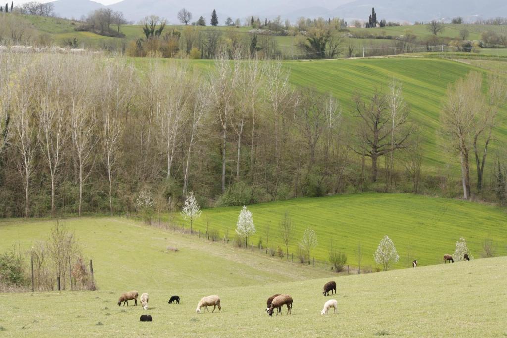 Agriturismo La Colombaia Villa Викио Екстериор снимка