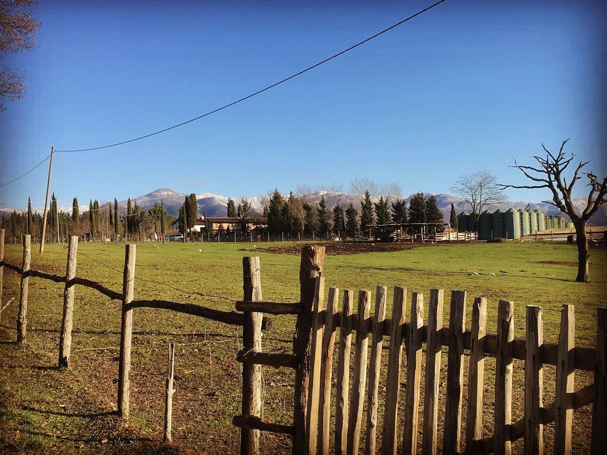 Agriturismo La Colombaia Villa Викио Екстериор снимка