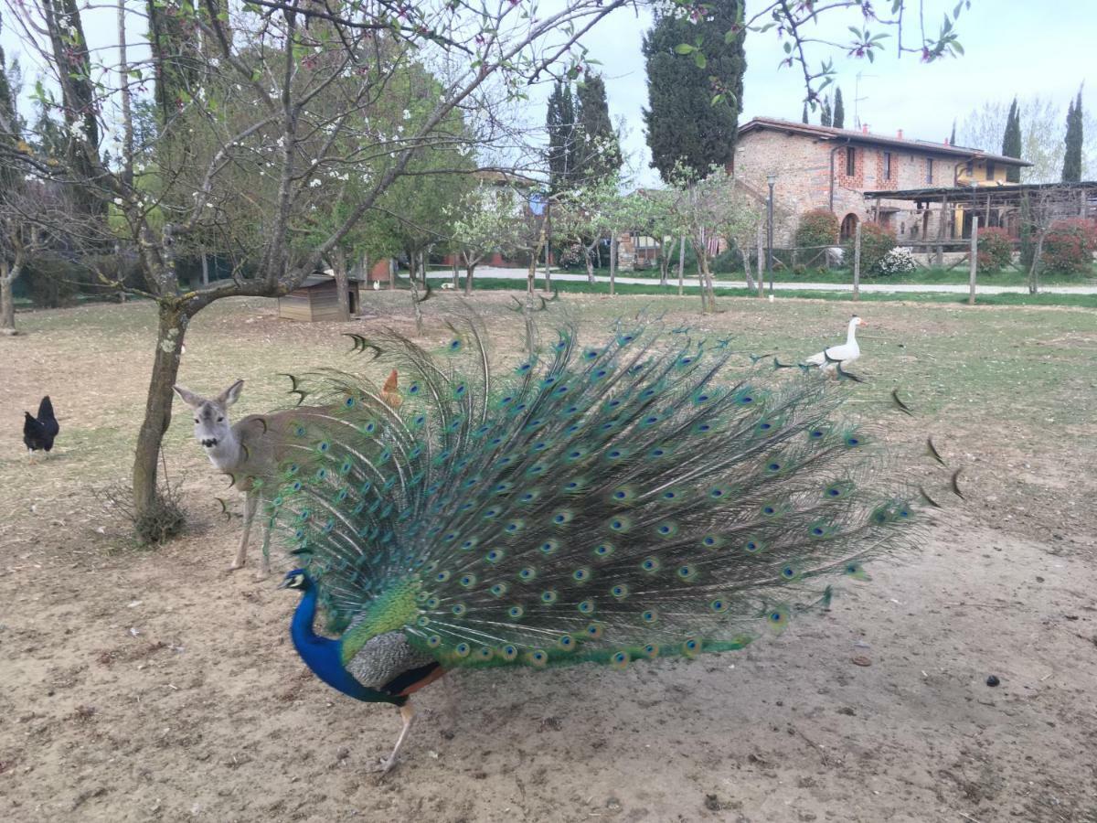 Agriturismo La Colombaia Villa Викио Екстериор снимка